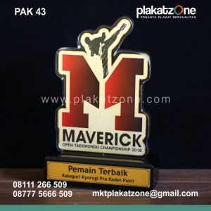 Plakat Akrilik Maverick